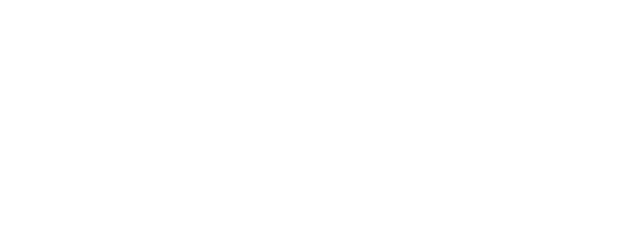 Blizscaling Ventures